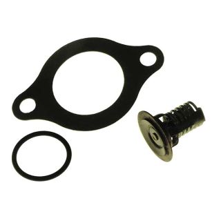 Termostaadikomplekt EMP OMC 60°C/140°F 1994-1998 Cobra SX 7.4-8.2L 300-415 HP V8