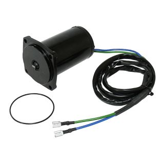 Sea-X, motor,power trim