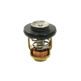 Sea-X thermostat w/gasket
