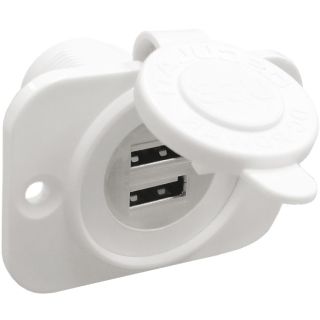 Double USB socket white rear nut + panel
