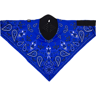 "NEODANNA SPFLX NAV PAISLY"