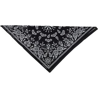 Peakate Zan Headgear Paisley Bandana