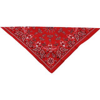 Peakate Zan Headgear Paisley Bandana