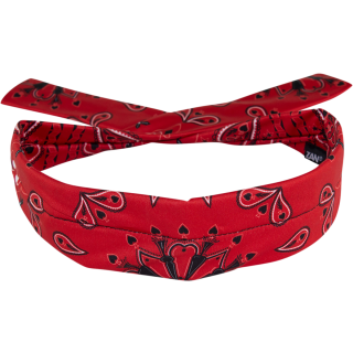 COOLDANNA POLY RD PAISLEY