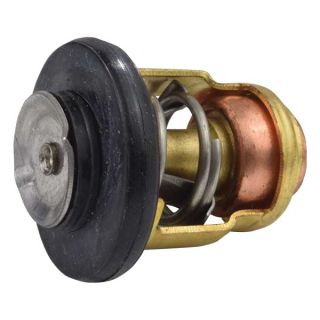 EMP Thermostat 50° Yamaha