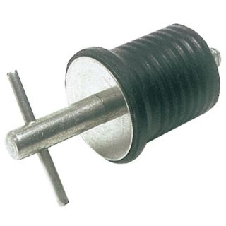S.S drain plug 22 mm