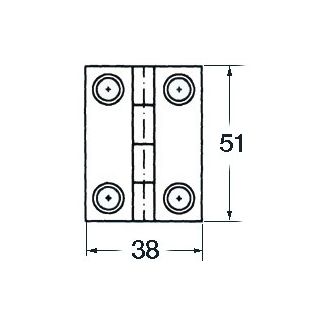S.S blind hinge 51x38 mm rect