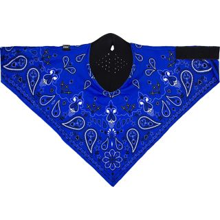 "NEODANNA SPFLX NAV PAISLY"